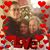 Kerri Suzanne's profile image