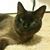 Sara Elben's profile image