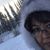 Kimberly Jimerson-York's profile image