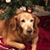 Sam Rieta Senior's profile image