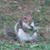 David J Szustak's profile image