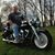 Todd Wike's profile image
