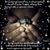 Lynn Jovick's profile image