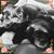 Emma Kirwan's profile image