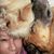 Pam Vandegrift's profile image