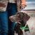 De La Vergne-Allen Diane's profile image
