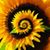 Megan Murphy Lopez's profile image