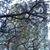 Laura Rodriguezrodriguez's profile image