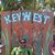 David Manymiles Clifton's profile image