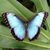 Debbie Luckie Hollingsworth's profile image