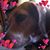 Vivian L. Patton's profile image