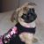 Nancy Lenigan's profile image