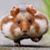 Tia Casada's profile image