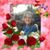Judith Crain's profile image