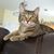 Kathy Miller's profile image