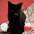 Sherri Snedker-Oman's profile image