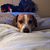 Daniel Hendry's profile image