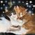 Toni Sheese Sipes's profile image