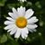 Lisa LaFave Bateman's profile image