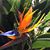 Lynn Erickson Pickert's profile image