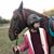 Donna Ortiz Howard's profile image
