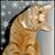 Terri R Friesth's profile image