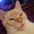 Anna Collings's profile image