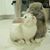 Jenny Young's profile image