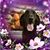 Beth Snook's profile image