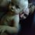 Amanda Renae Laird's profile image