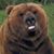Lorrie Lemire's profile image