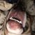 Lisa Gath Tritt's profile image
