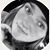 Sierra Leuck's profile image