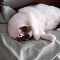 Maryann Coan's profile image