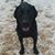 Stephanie Greenhalgh's profile image