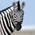 Lynn Bybee's profile image