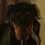 Scott Croydon's profile image