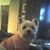 Foam Don Cole's profile image
