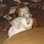 Barb Enright's profile image