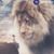 Angel Leon's profile image