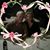 Cindy Creel Johnson's profile image