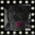 Michelle Fistek's profile image