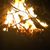 Vicki Johnson Loomis's profile image