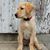 John N Kelly Blackwell's profile image