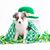 Karen MacAdam Moureaux's profile image