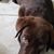 Lynn Baker's profile image