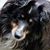 Lee A Deitrick's profile image