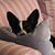 Joie Clee's profile image