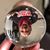 Larry Shipman Jr's profile image