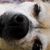 Julie Bullard's profile image